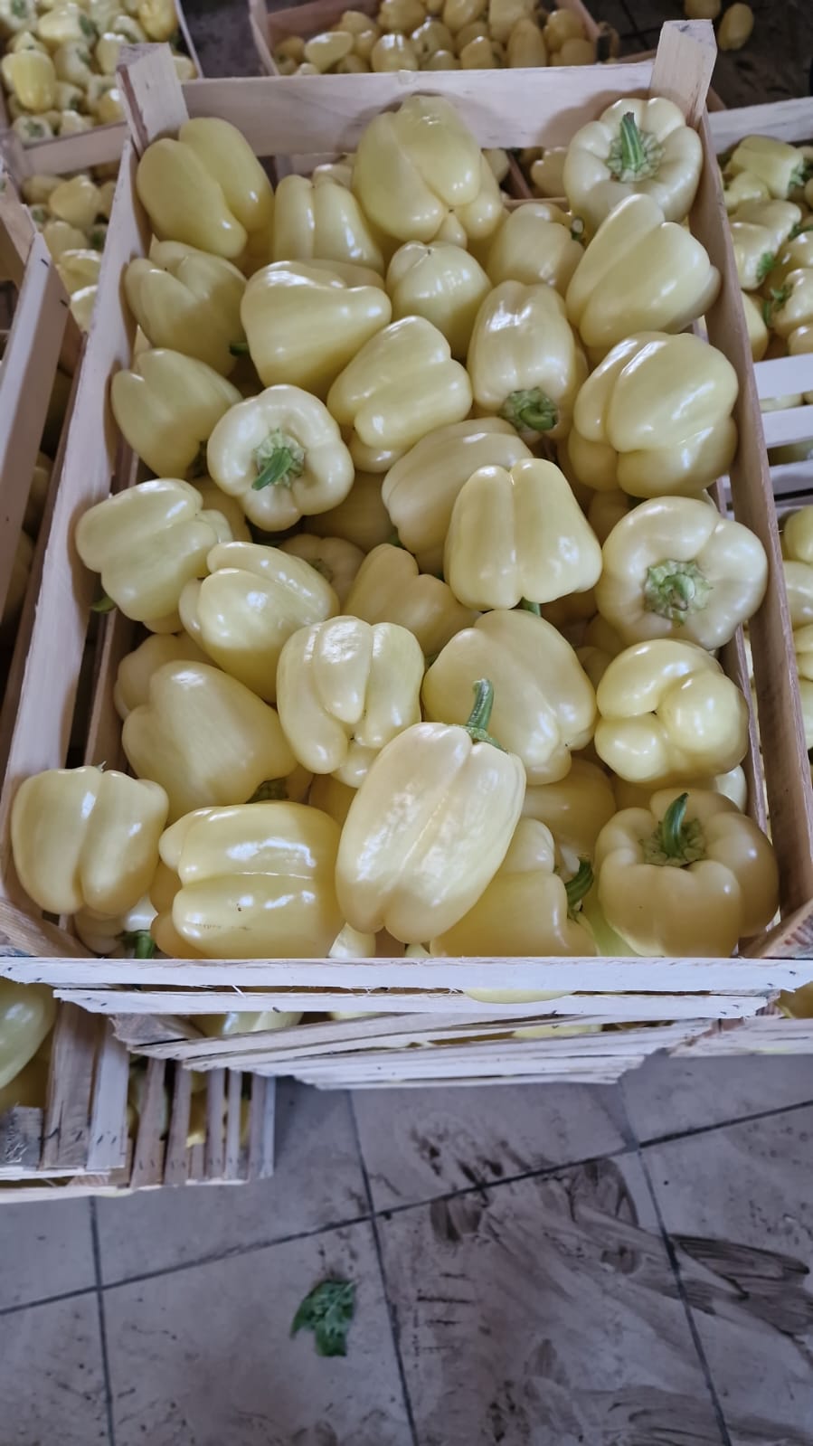 White Peppers